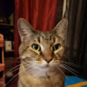 Meet your Posher, Erika